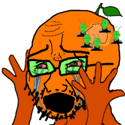 1000001204.png