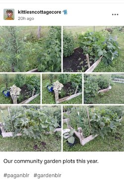 garden.jpg garden.jpg
