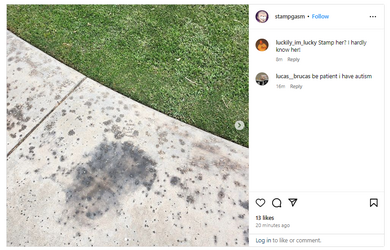 insta.png