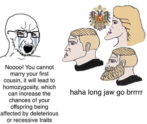 15qfwrh6d8z51.jpg