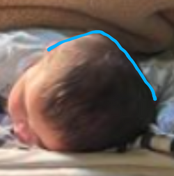 1000004786.png