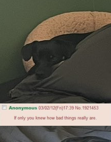 1719899547009.png