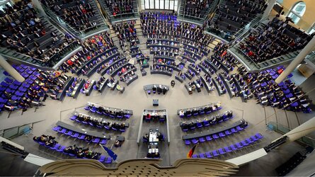 plenum_vogel.jpg
