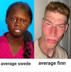 Swefi.png