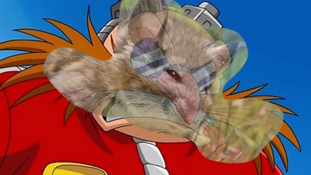 austin dr wiley rat overlayed.png