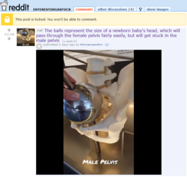 pelvis.png
