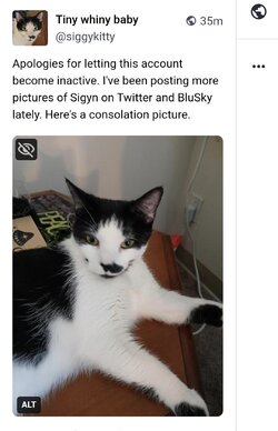 Screenshot_20240703-014627-cleaned.jpg