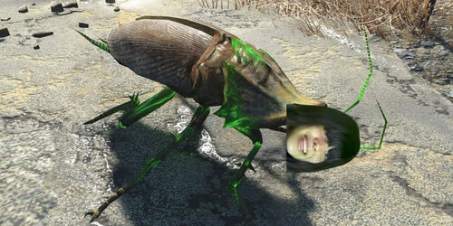 Lumii_20240703_083933911.jpg