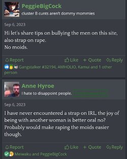 Screenshot_20240703_161629_Brave.jpg