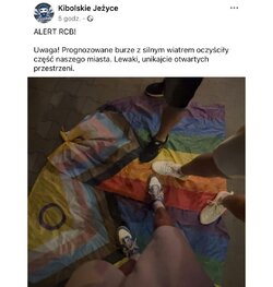 faggots lost flags.jpg