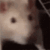SmallRat.gif