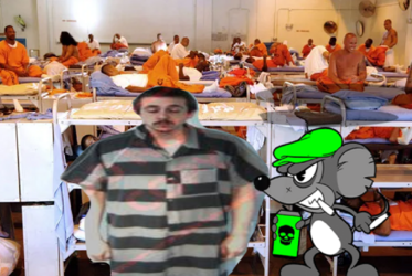the rats won.png