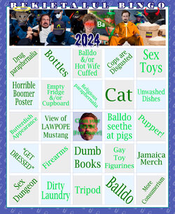 balldocam-bingo.jpg