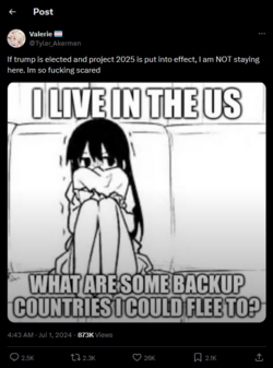 1720054600907.png