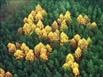 1720057570965.png