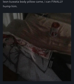 1720067832182.png