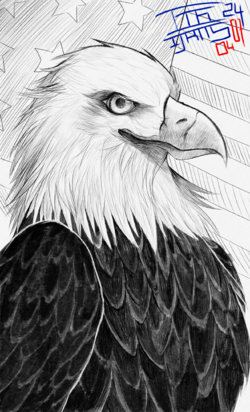 eagle.png
