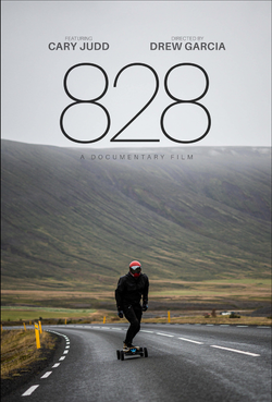 828.png
