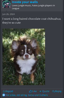 IMG_3707.jpeg