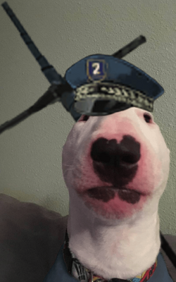 550ab6s4zdf81.png