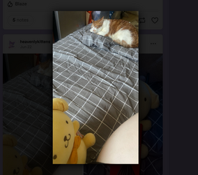 Screenshot 2024-07-04 10.13.20 AM.png