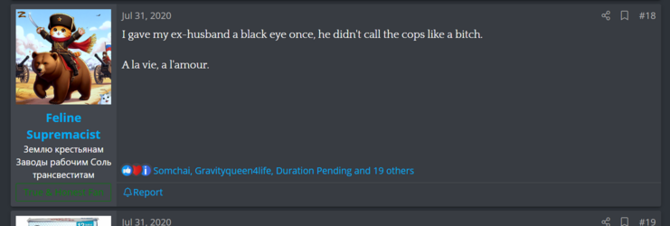 feline 5.PNG