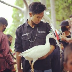 fiqri1.jpg