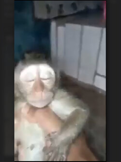 fiqri7.jpeg