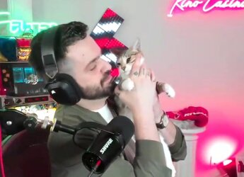 kitten.jpg