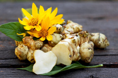 iStock-1181066863-1024x683.jpg