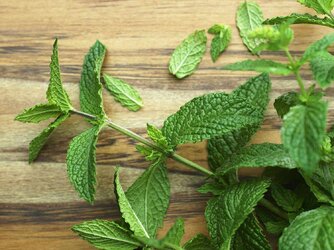 mint - Copy.jpg