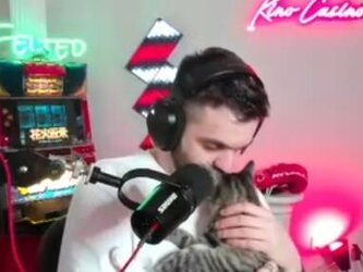 kitten2.jpg