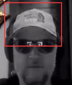 fake1.jpg
