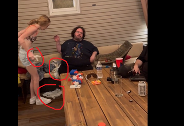 fat_shitstain.png