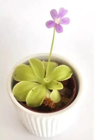 1720202391710.png