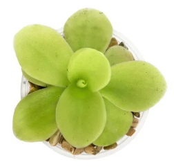 1720202429637.png
