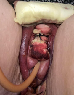 IMG_0771.jpeg