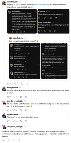 screencapture-threads-net-amy-loves-entrapta-post-C9C3cvboJ-p-2024-07-05-17_16_13.png