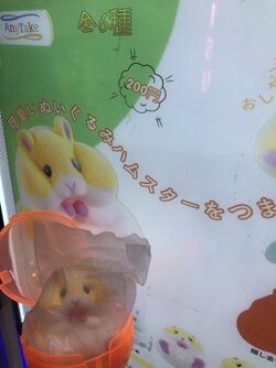 IMG_0065.jpeg