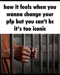 images.jpeg