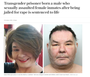trans.png