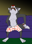 couch (2).png