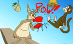 kangaroo (2).png