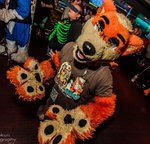 IMG_20181215_205032.jpg