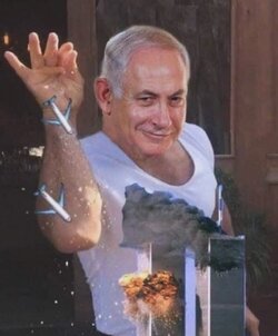 bibi.jpg