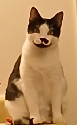 1720324052630.png