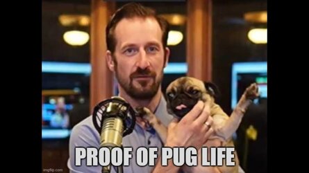 puglife.jpg