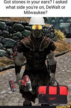 dewalt or mil.jpg