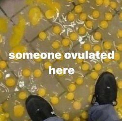 egg.jpg