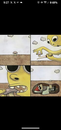 mushroom.jpg